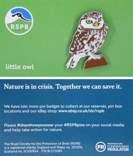 Rspb pin badge niic little - rspb,