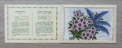 Kensitas wix flowers - a,