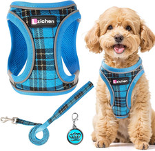 3Pcs Dog Harness and Lead Set