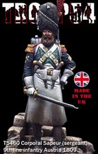 Troop54 Napoleonic French