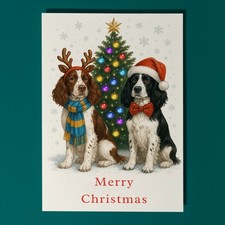 Springer Spaniel Dogs Merry
