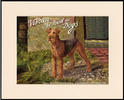 Airedale terrier dog art - terrier, print