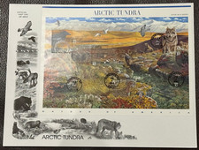 ARTIC THUNDRA-NATURE OF