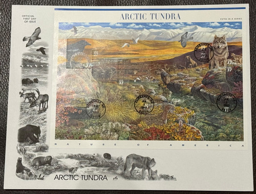 Artic thundra nature - thundra-nature, of