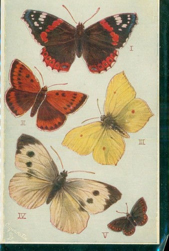 British butterflies tucks - british, tucks's