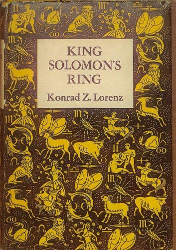 King solomon ring lorenz - king,