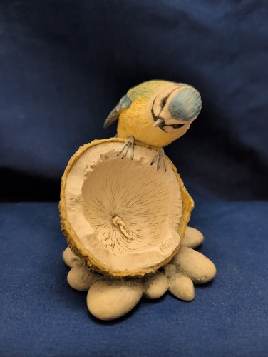 Border fine arts blue tit - fine,