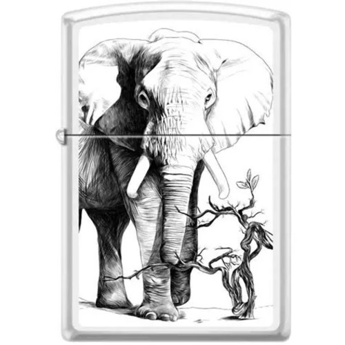 Cool tusked elephant - , white