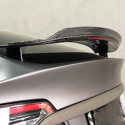 Model carbon fiber trunk - model,