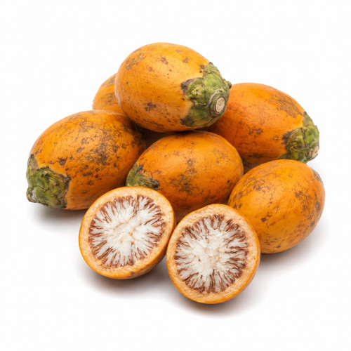 Premium fresh areca nut - fresh,