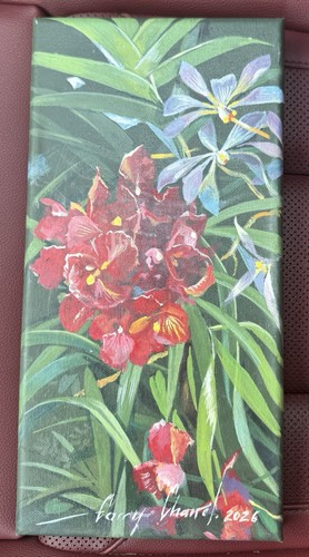 6x12 original haiti haitian - haiti,