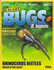 real-life bugs &
