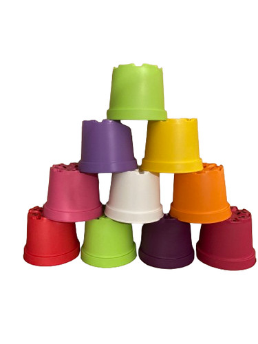 Coloured litre plant - 2,
