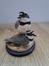 The Country Bird Collection The Little Ringed Plover by Andy Pearce