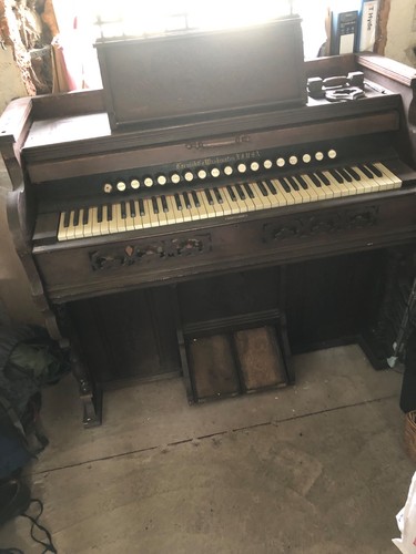 Harmonium reed organ - reed,