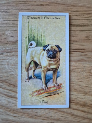 Hignett bros dogs - bros., co.