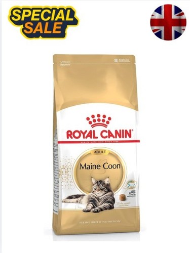 Royal canin adult maine - canin, coon