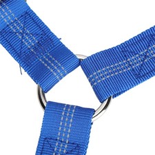 Pet Adjustable Headrest Belt