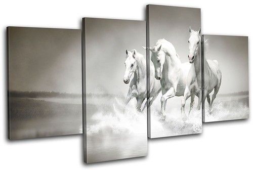Herd horses animals multi - horses,