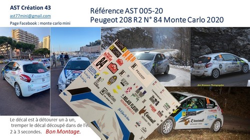 New decal peugeot 208 r2 - 1,