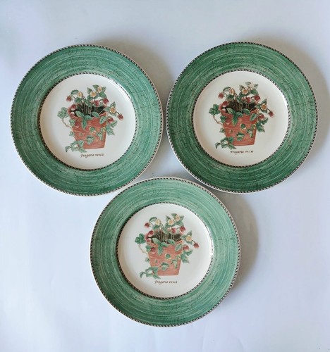 Wedgwood sarah garden salad - wedgwood, sarah's
