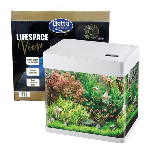 Betta choice lifespace view - lifespace, 17