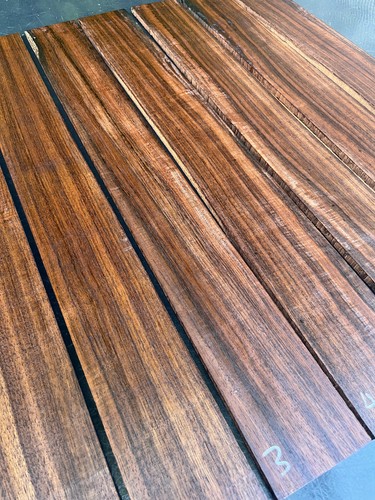 Indian laurel string bass - indian,