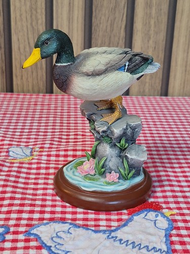 Border fine arts - studio, birds