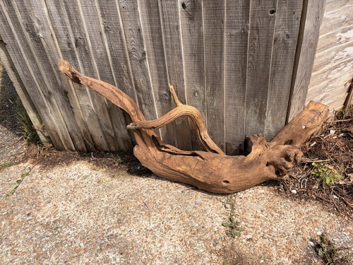 Natural brown driftwood branch - brown,