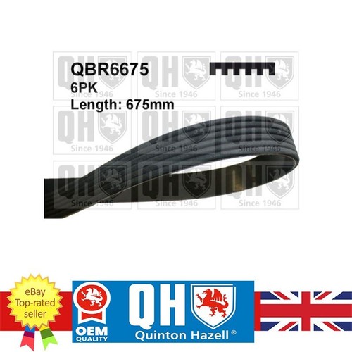 Ribbed belt for kia - for, carens