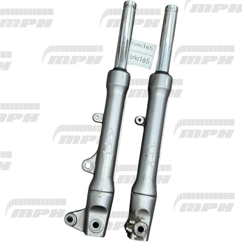2021 2024 yamaha delight - yamaha,