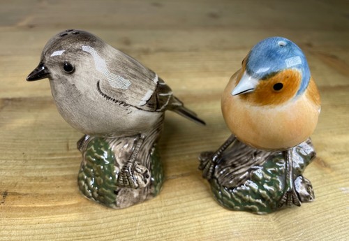 Pair chaffinch birds salt - of, &