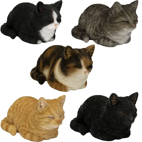 Vivid arts cat dreaming - arts,