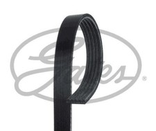 Gates 5PK1123 V-Ribbed Belt