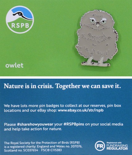 Rspb pin badge niic owlet - niic,