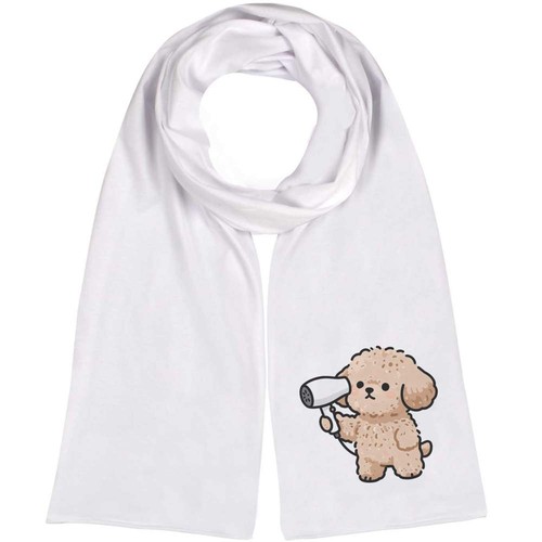 Toy poodle blow dry - poodle, blow-dry'