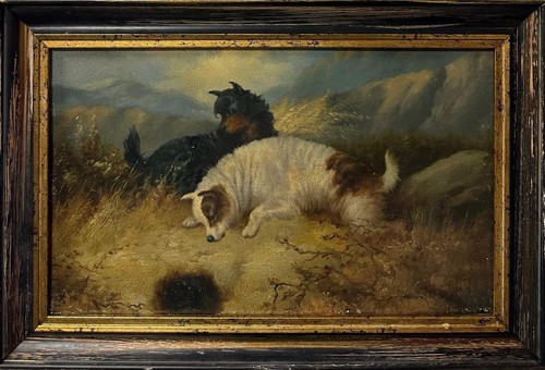 19th century study dogs - study,