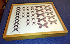 Unusual Wall Art Print