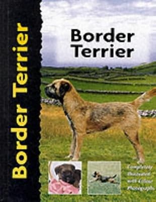 Border terrier - border, love)