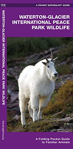 Glacier national park - glacier,
