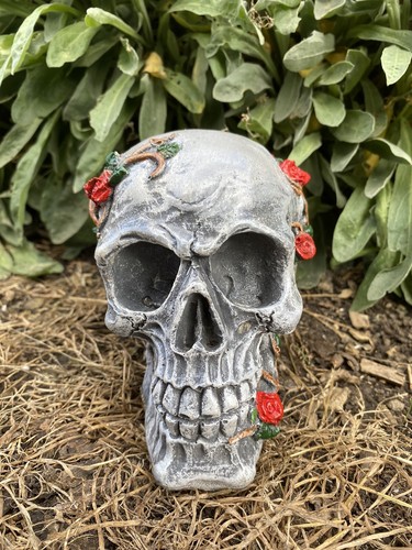 Skull garden ornament - garden,