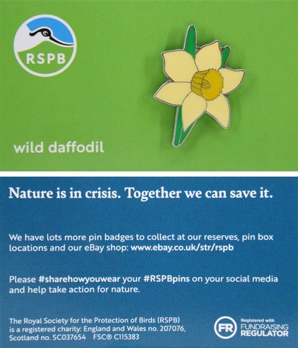 Rspb pin badge - rspb, wild