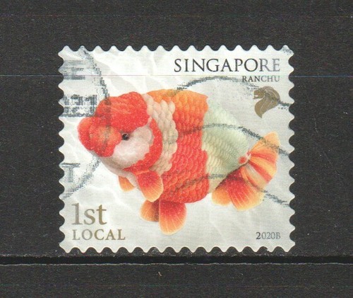 Singapore 2020 goldfish 1st - 2020,