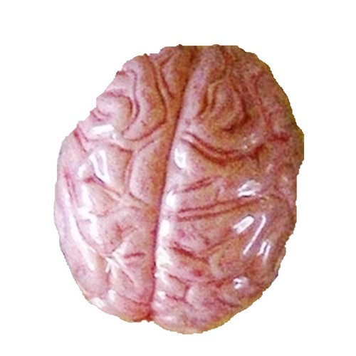 Zombie grow brain lab - grow, morgue