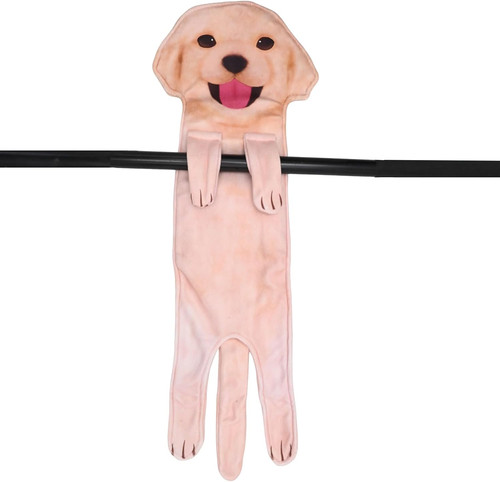Golden retriever dog - golden,