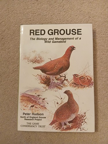 Red grouse the - grouse,