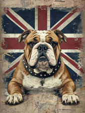 English Bulldog  Union Jack Metal Sign, Bulldog  sign, Union Jack Plaque.