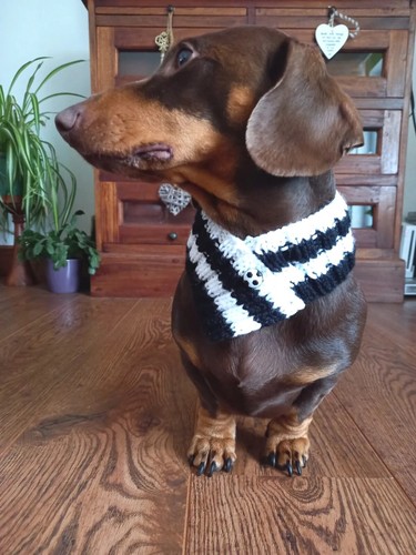Fulham colours - fulham, fc