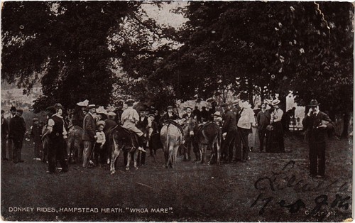 London donkey rides - pc,