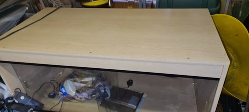 3ft vivarium and - full, up